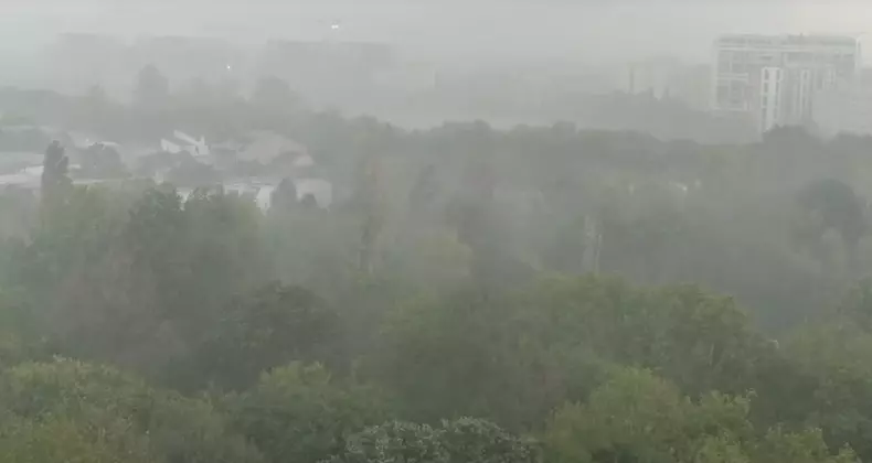 454238566_832896618976639_3940688522635362669_n