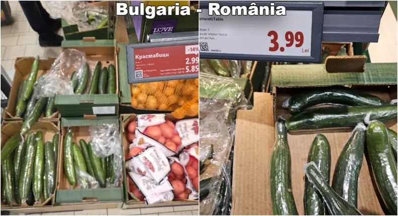 Castraveti Bulgaria - România copy