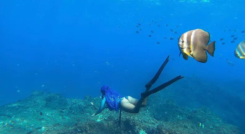 193509165_493160691917125_7411658727397506065_n