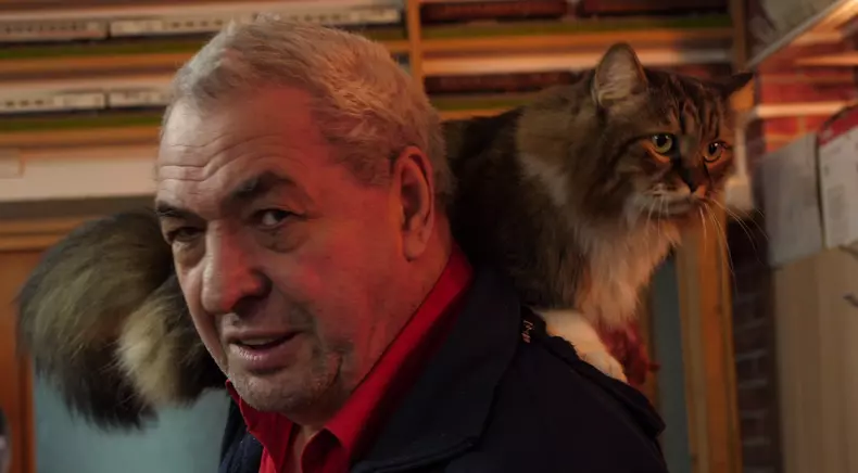 colectionarul de trenulete 11