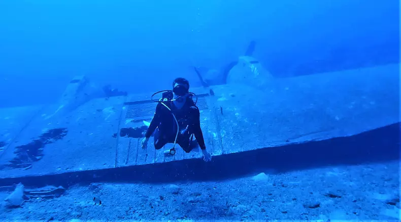 scafandrul care a ajutat un delfin să nască