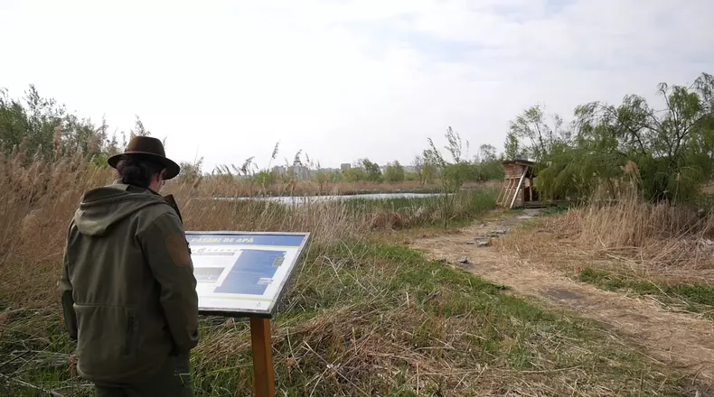 Văcărești, drumul de la groapă de gunoi la parc natural