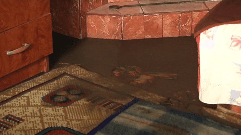 covor peste mal pechea 3 (13)