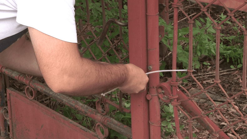 vlcsnap-2050-06-10-09h37m27s308