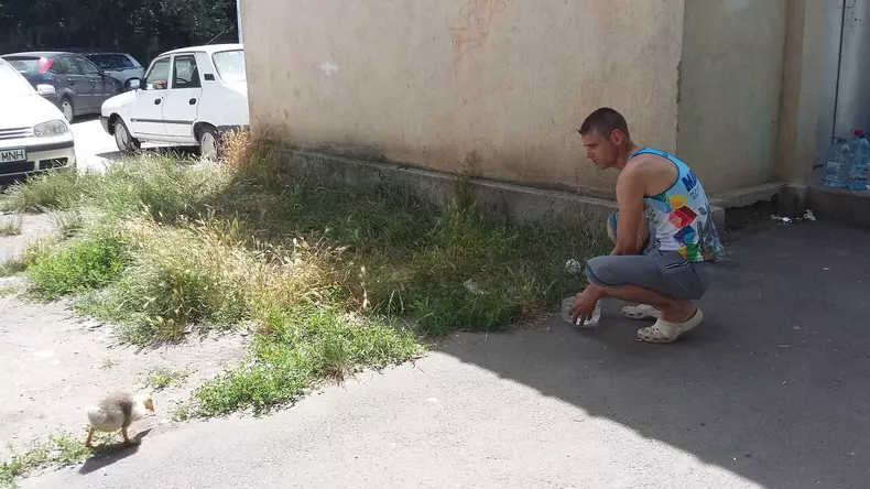 13 ii aduce stapanul apa