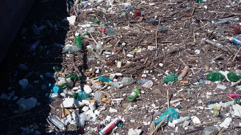 tone gunoaie dunare (20)