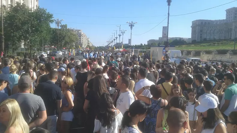 14037621_1071919622884441_630137619_o