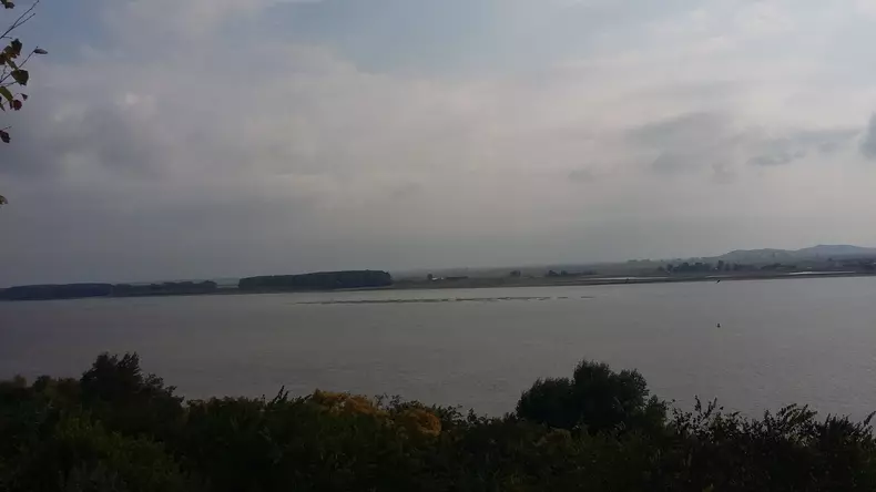 a reaparut insula in mijlocul dunarii (3)