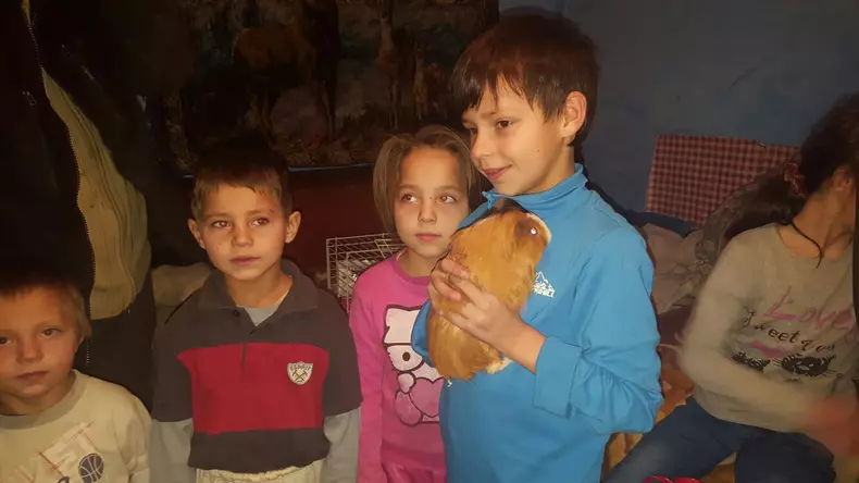 b99cc031-25fb-48fe-92b9-963fc9ca8260