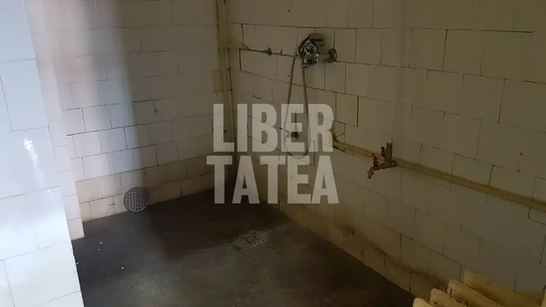 sectie boli infectioase arad (14)