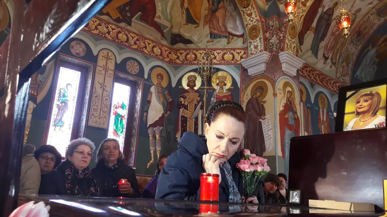 maria dragomiroiu ileana ciuculete (7)