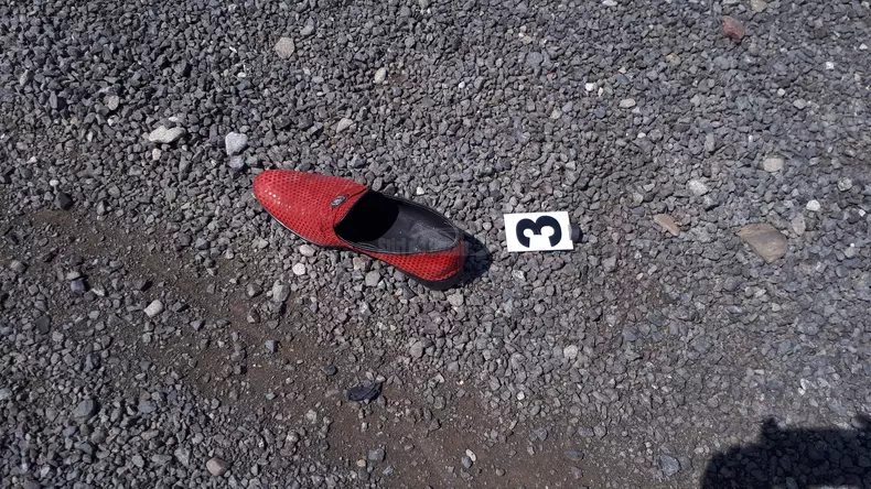 accident_potarnichesti_buzau (5)