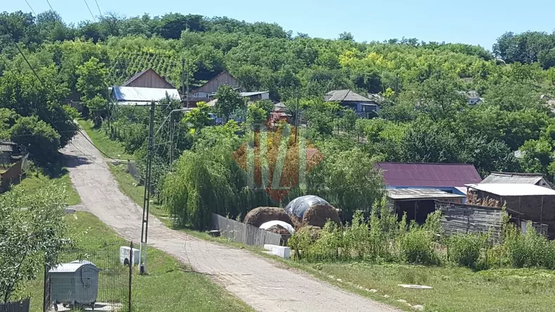 O fetiță și-a văzut mama murind. Femeia a fost omorâtă în bătaie (6)