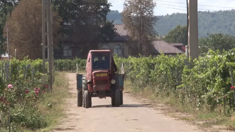 cadoul lui Nicolae Ceaușescu aleea lui Ceaușescu 2