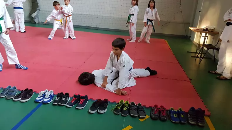 Andrei Anghel face aikido