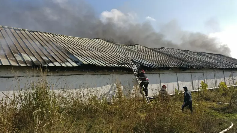 incendiu depozit tulcea 5