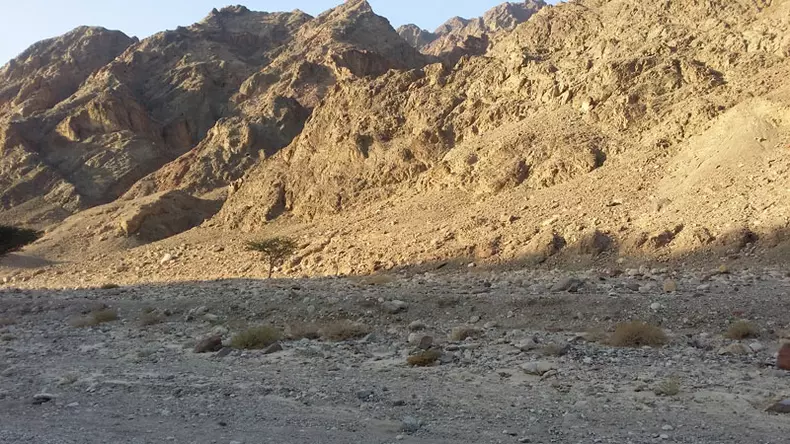 eilat-desert-marathon-4