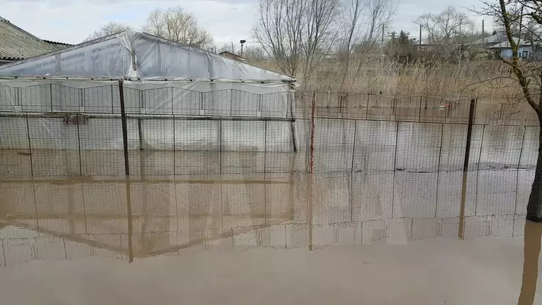 inundatii teleorman (3)