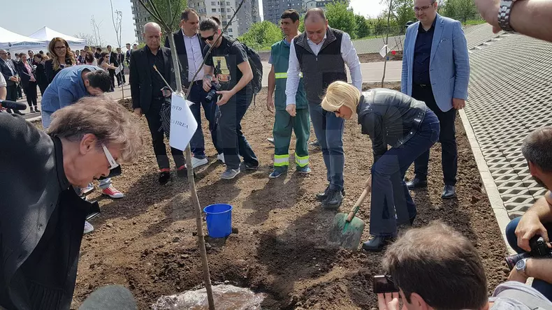 30726173_10214630663347492_5694776354143207424_n