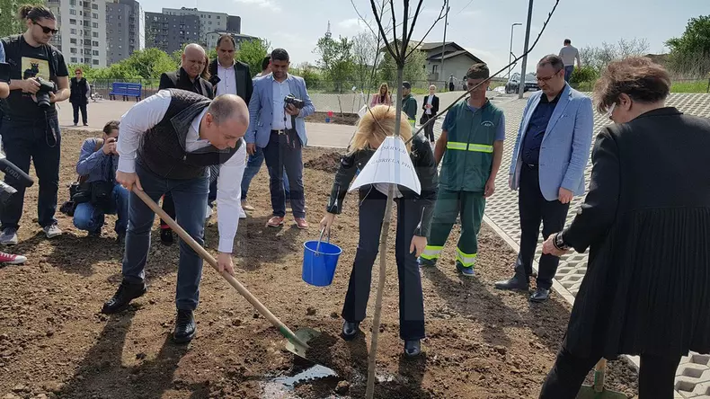 30728536_10214630668707626_5998062622186930176_n