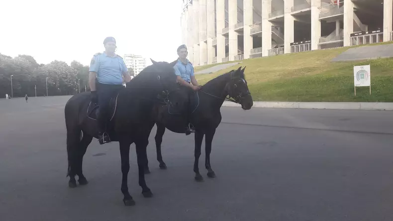 35102294_390517998108337_4013604946216747008_n