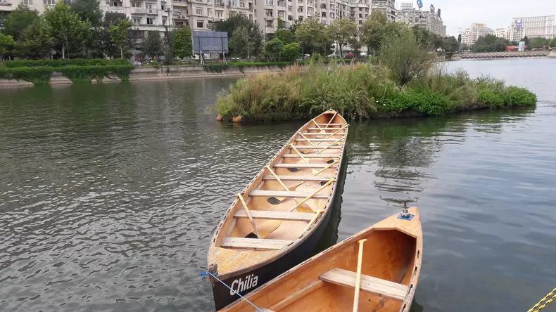 Concurs de vâslit în canotcă, pe malul Dâmboviței (10)