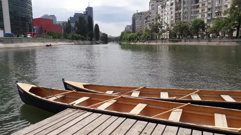 Concurs de vâslit în canotcă, pe malul Dâmboviței (11)