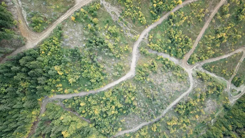 defrisari paduri romania (8)