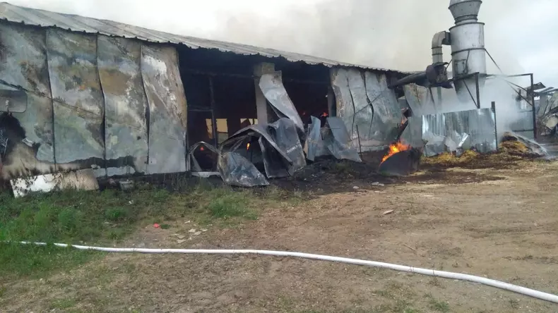 Incendiu la o hală de prelucrare a lemnului din judeţul Covasna (1)