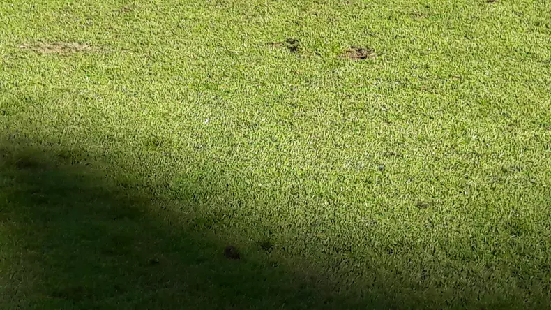 44057275_1188846124590117_9110857379896885248_n