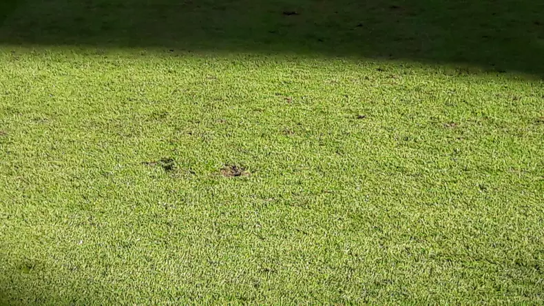 44083843_307640503160161_6132836058825490432_n