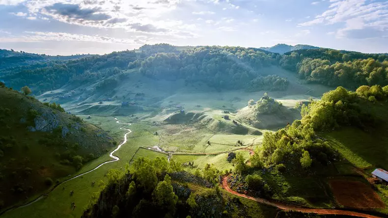 PalmaLuiDumnezeu-FundaturaPonorului