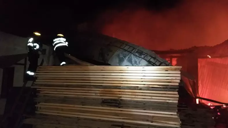 incendiu-hala-lemn-Timis3
