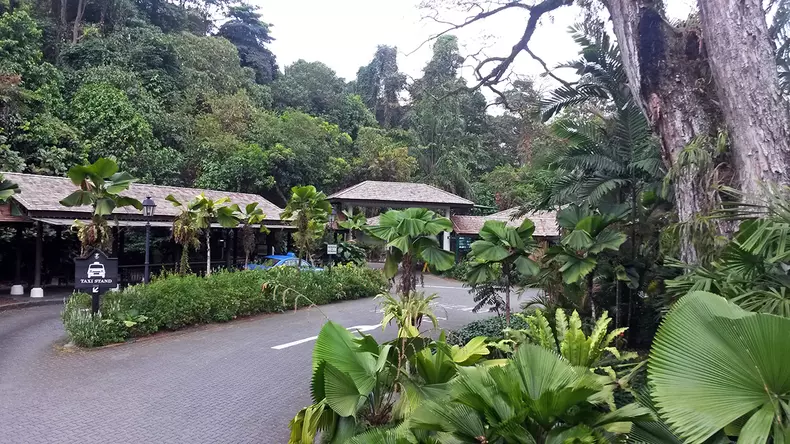 Grădina botanică