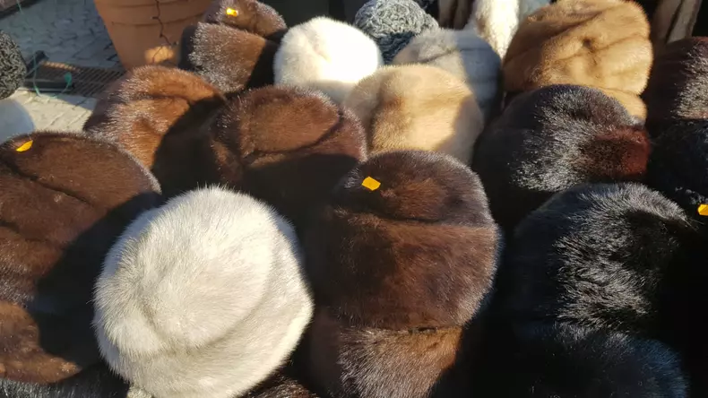 Vasile Dudanu, taraba si marfa (4)