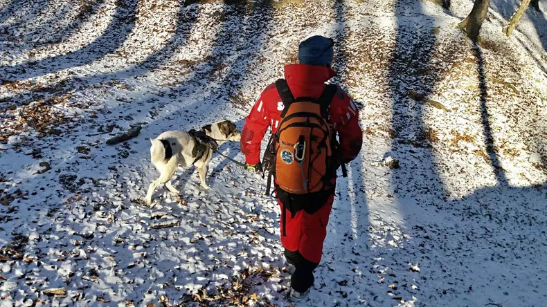 82842782_495883684386256_9158166972943302656_o