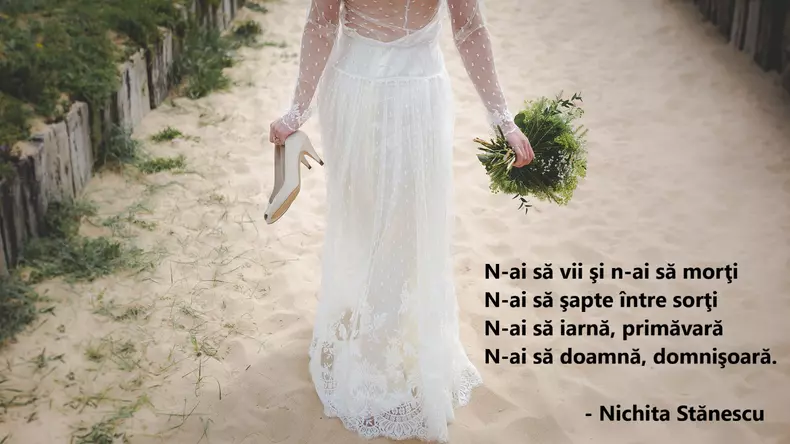 Poezii de Nichita Stănescu - N-ai să vii