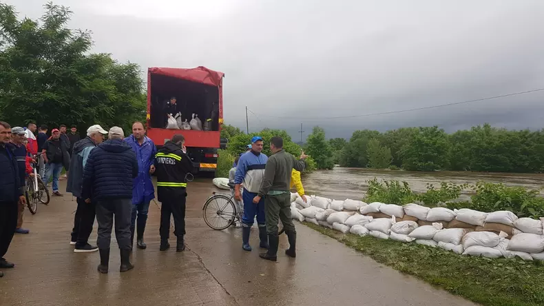 WhatsApp Image 2020-06-19 at 03.35.35