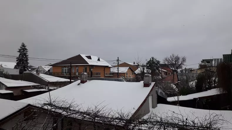 130145416_410993070026190_4345579404376696711_n