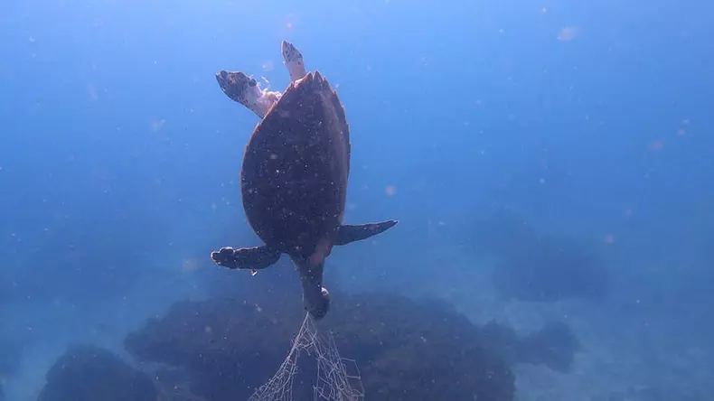 profimedia-0579635947