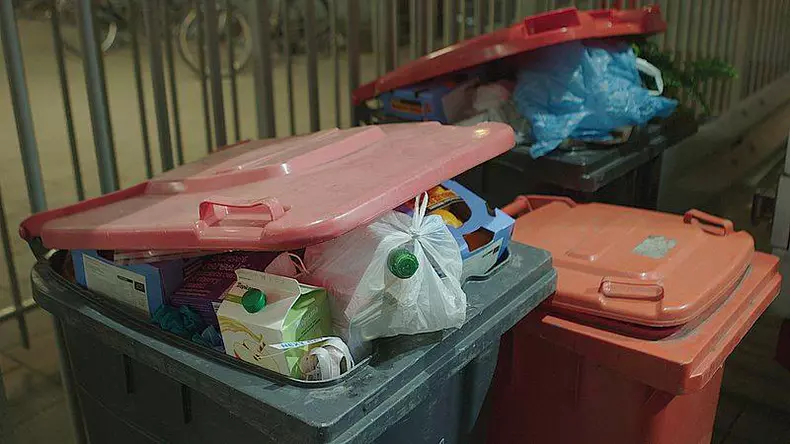 136640631_253520302788181_394700176853609589_n