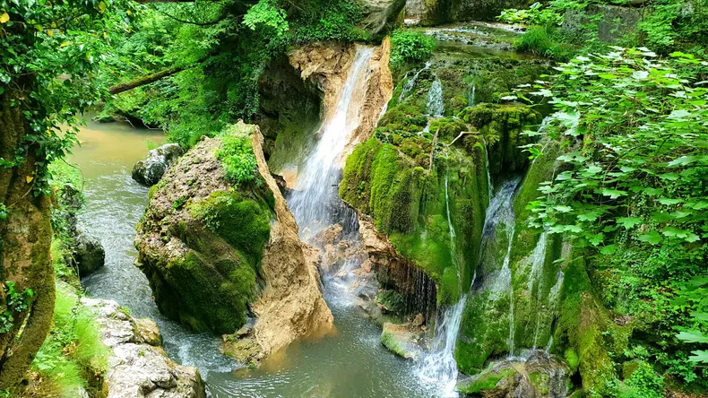 WhatsApp Image 2021-06-07 at 21.58.06 (2)