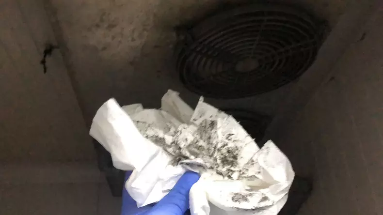 2730079783132466075026122464275646604562191n