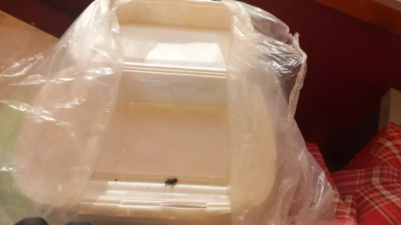 whatsapp-image-2023-03-09-at-08-53-14