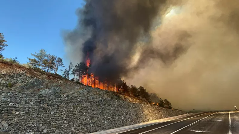 profimedia-1025919325