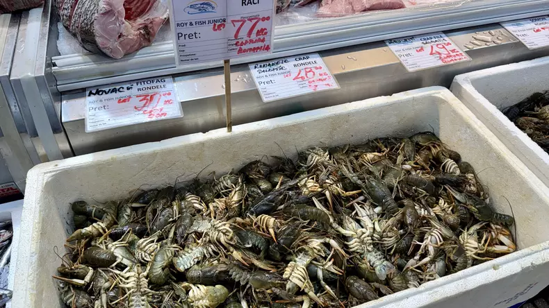 peste in piata obor din Bucuresti (8)