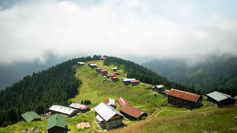 Rize Pokut  Plateau 1