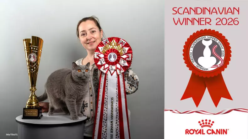 675262615_2143582436191674_6257987174562622094_n