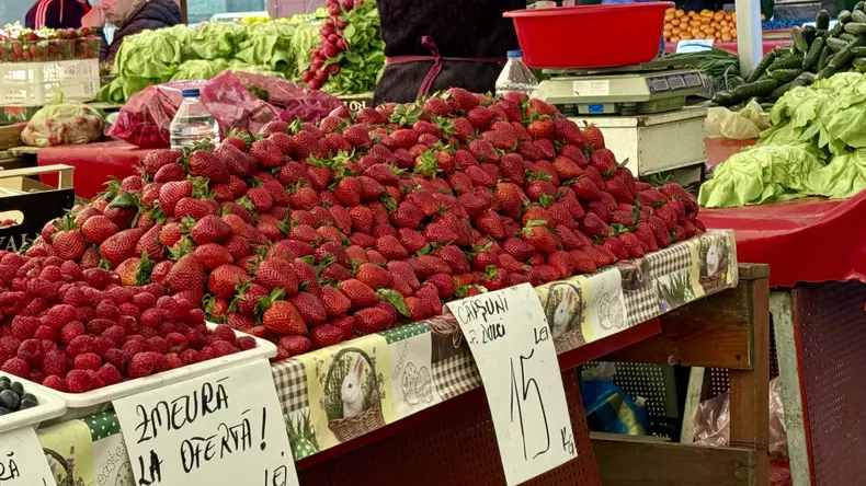 capsuni bucuresti piete (2)