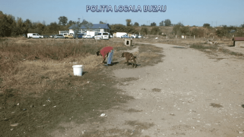 vlcsnap-9351-11-14-11h11m28s794